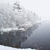 Jeris week 45 12-4491